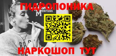 ГАЛЛЮЦИНОГЕННЫЕ ГРИБЫ Янаул