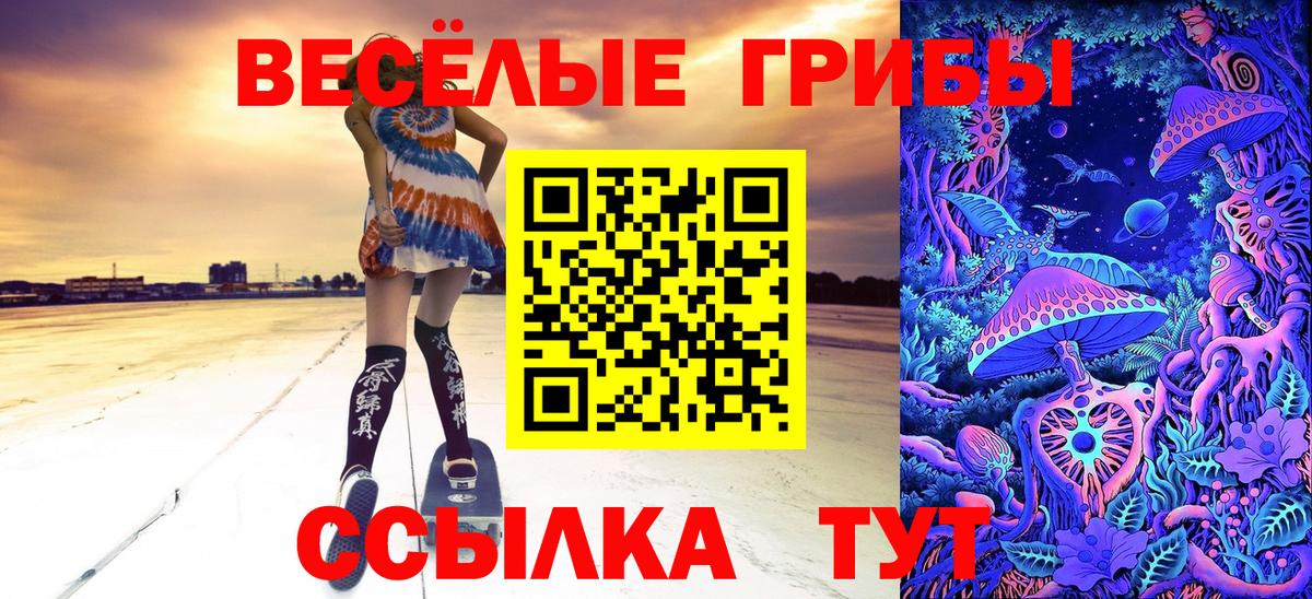 Псилоцибиновые грибы Cubensis  Вход с VPN  Реутов 
